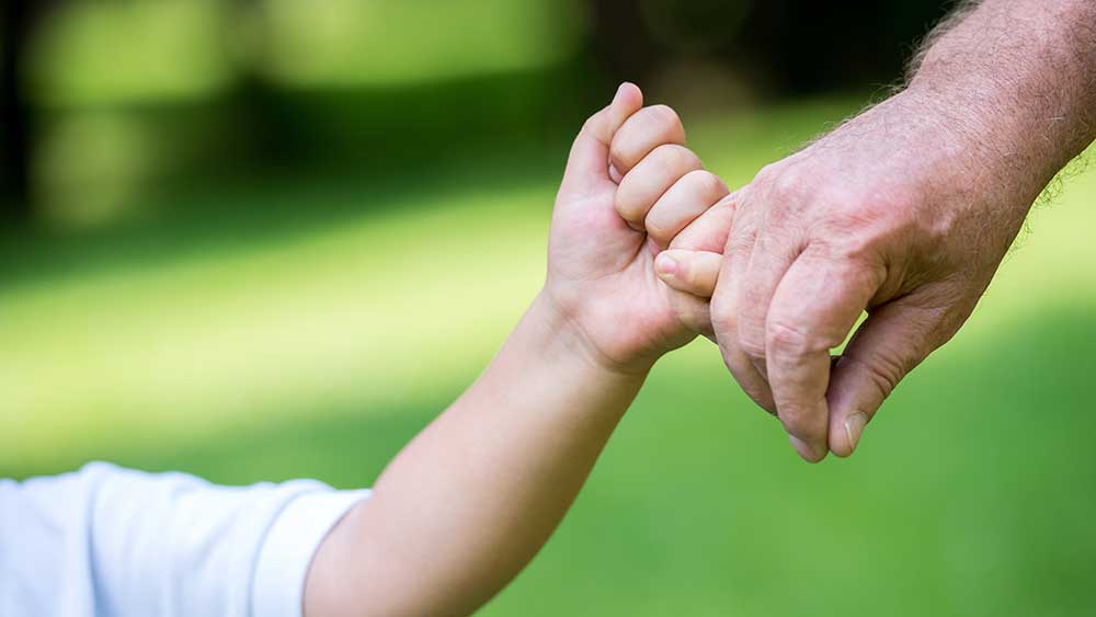 Lebensversicherung Absicherung der Hinterbliebenen